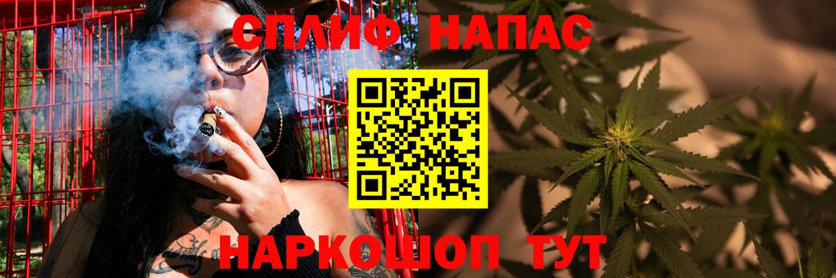 Йошкар-Ола  Канабис конопля  Вход с VPN  Канабис сатива  Каннабис ГИДРОПОН 